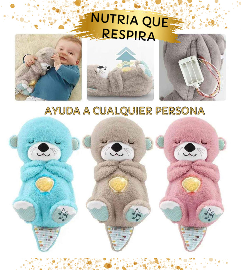 CUTIE NUTRIA™ - Mi Nutria Dulce Sueños